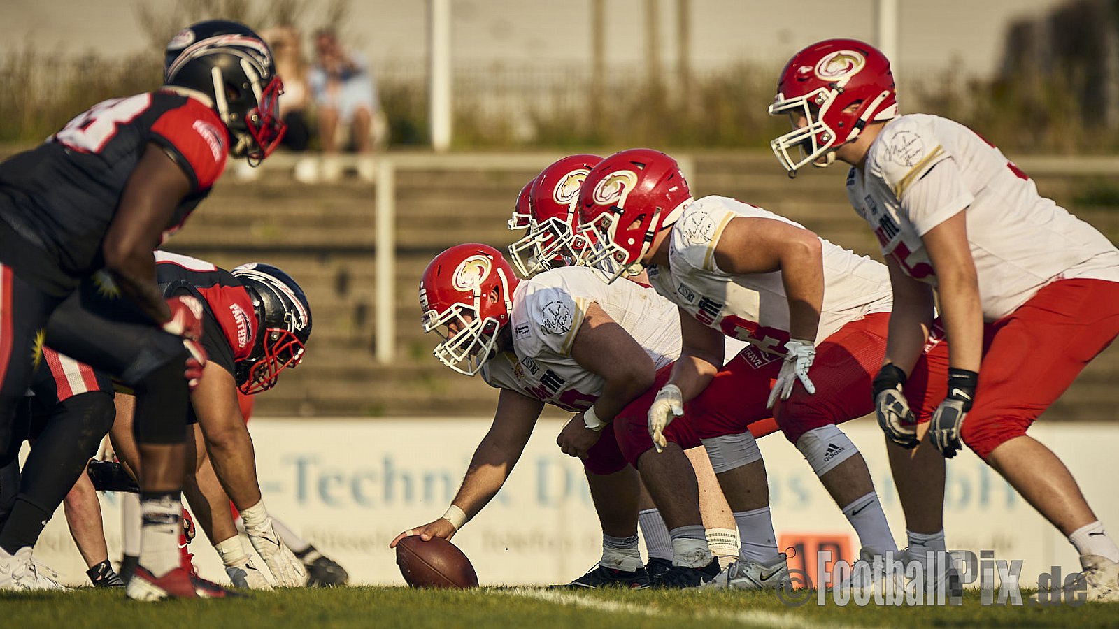 GFL2 Season 2024 Düsseldorf Panther vs. Lübeck Cougars am 31.08.2024 im Bezirks Sportanlage Benrath, Nürnberger Straße, Benrath, Stadtbezirk 9, Dusseldorf, North Rhine-Westphalia, 40599, Germany. Punkte Endstand 16 : 10. - DPantherVsLuebeckCougars