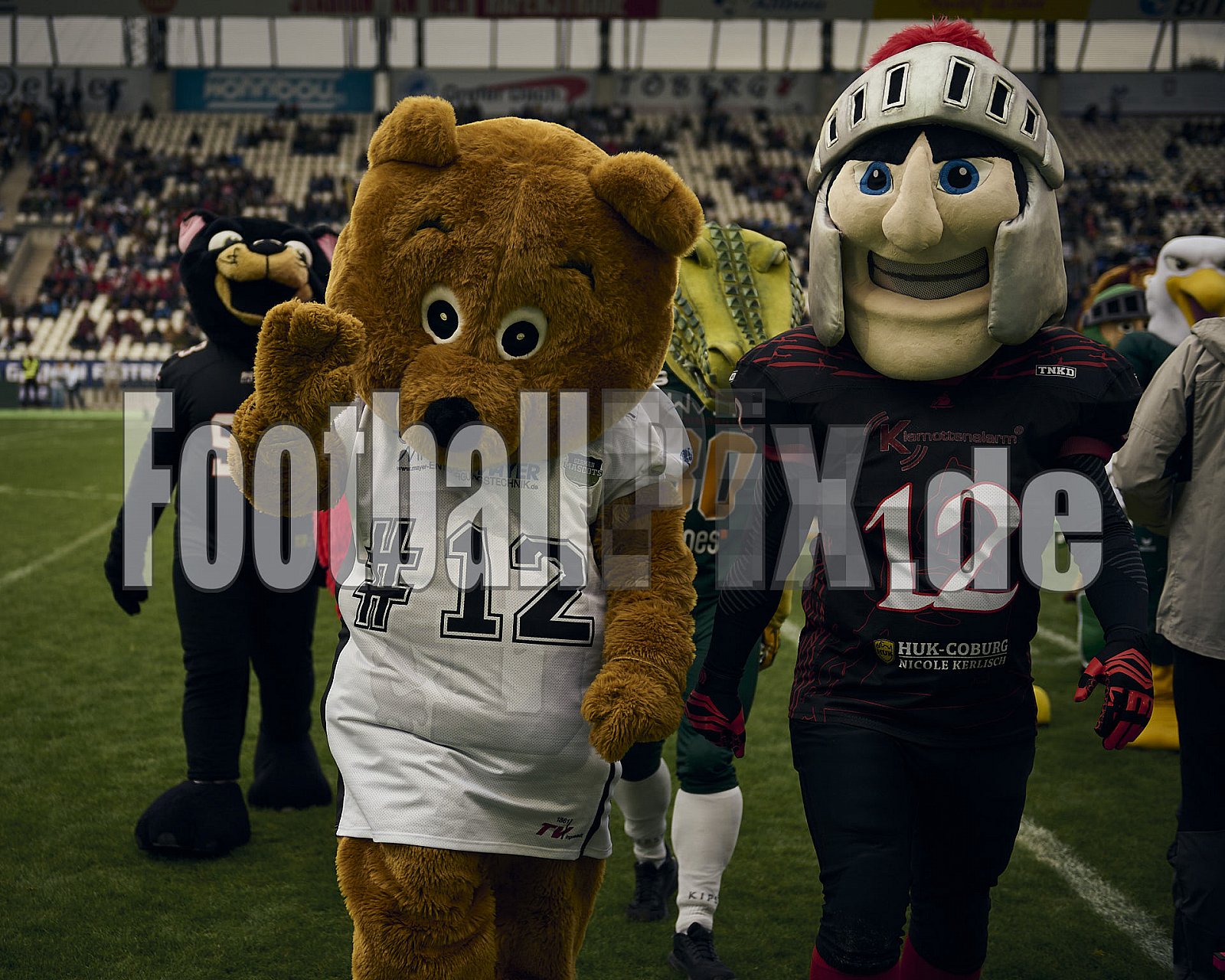 GFL Bowl | Potsdam Royals vs. Dresden Monarchs | 12.10.2024 | Stadion an der Hafenstraße, 97A, Hafenstraße, Vogelheim, Stadtbezirk V, Essen, North Rhine-Westphalia, 45356, Germany | Punkte Endstand 27 : 21 | Bildnummer: 2024-10-12_0136 - GFLBowl2024PotsdamRoyalsVsDresdenMonarchs