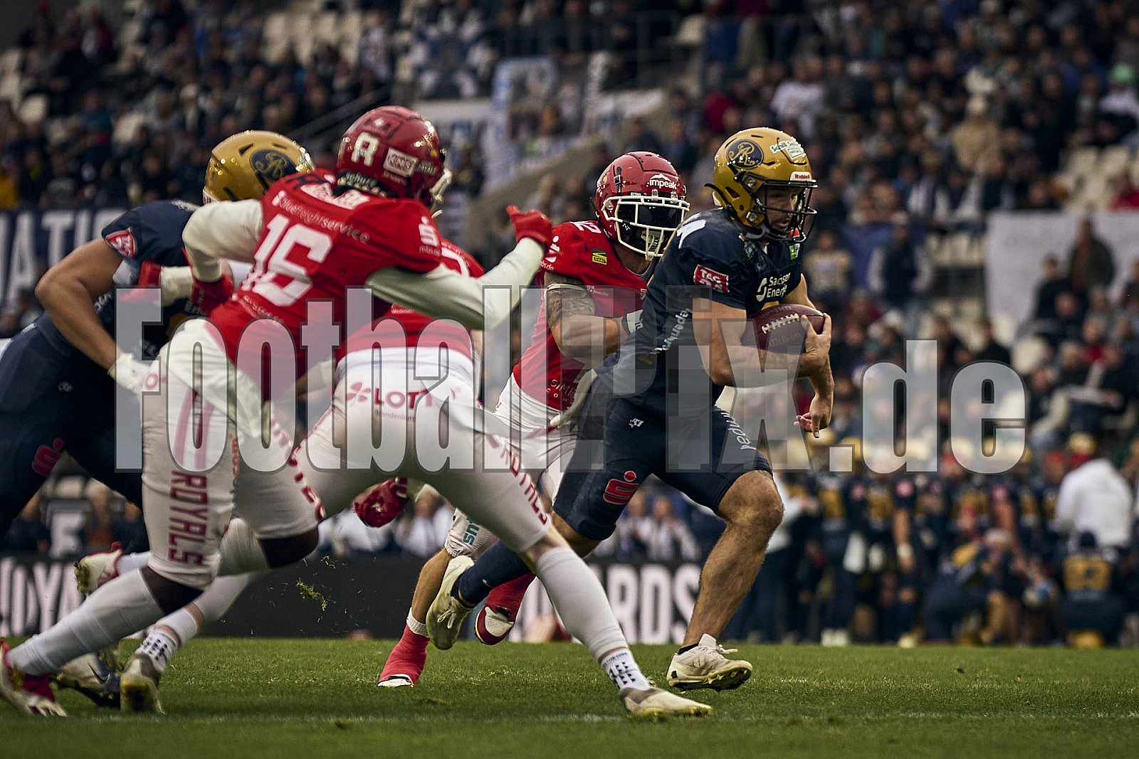 GFL Bowl | Potsdam Royals vs. Dresden Monarchs | 12.10.2024 | Stadion an der Hafenstraße, 97A, Hafenstraße, Vogelheim, Stadtbezirk V, Essen, North Rhine-Westphalia, 45356, Germany | Punkte Endstand 27 : 21 | Bildnummer: 2024-10-12_0384 - GFLBowl2024PotsdamRoyalsVsDresdenMonarchs