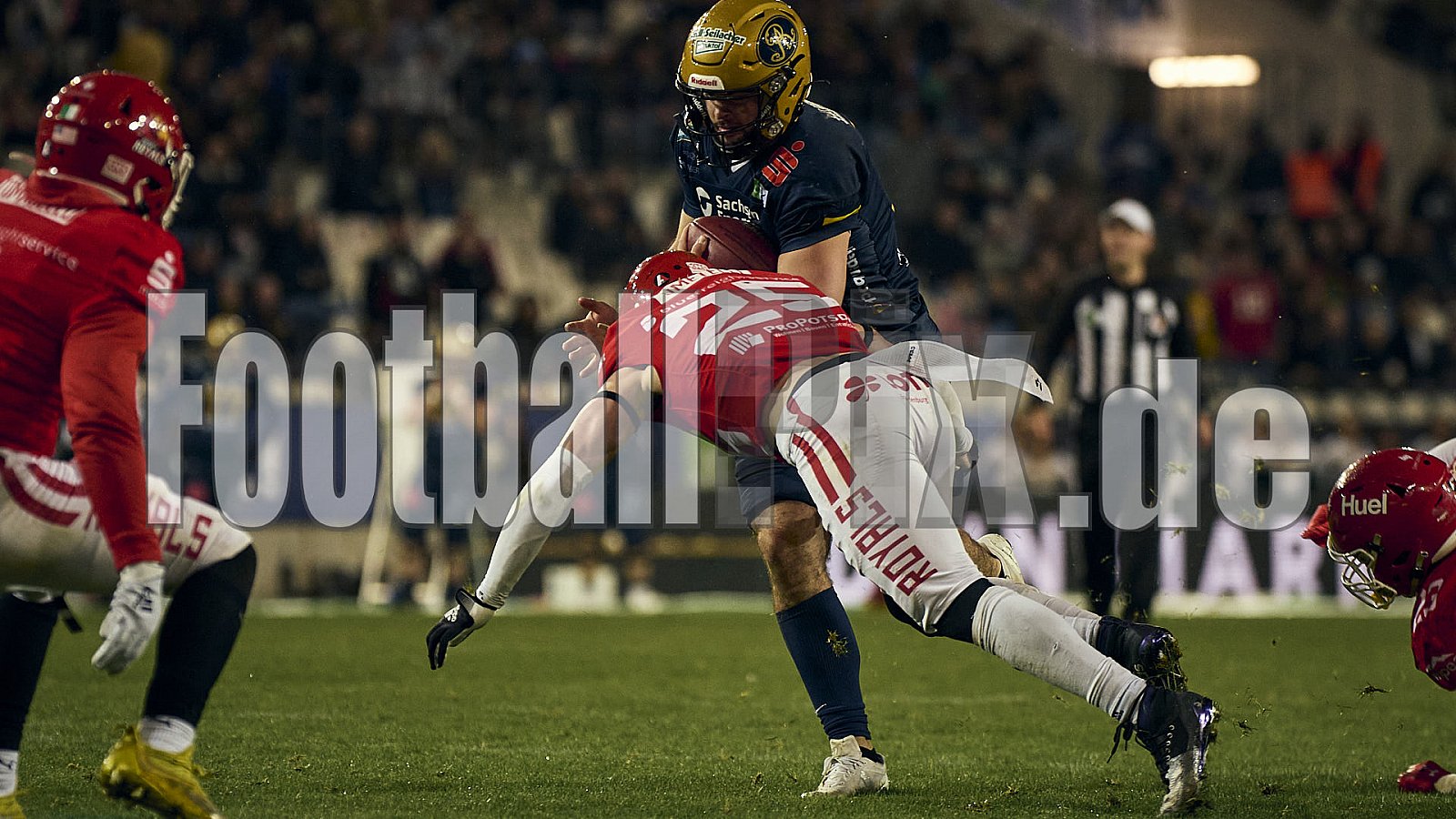 GFL Bowl | Potsdam Royals vs. Dresden Monarchs | 12.10.2024 | Stadion an der Hafenstraße, 97A, Hafenstraße, Vogelheim, Stadtbezirk V, Essen, North Rhine-Westphalia, 45356, Germany | Punkte Endstand 27 : 21 | Bildnummer: 2024-10-12_0820 - GFLBowl2024PotsdamRoyalsVsDresdenMonarchs