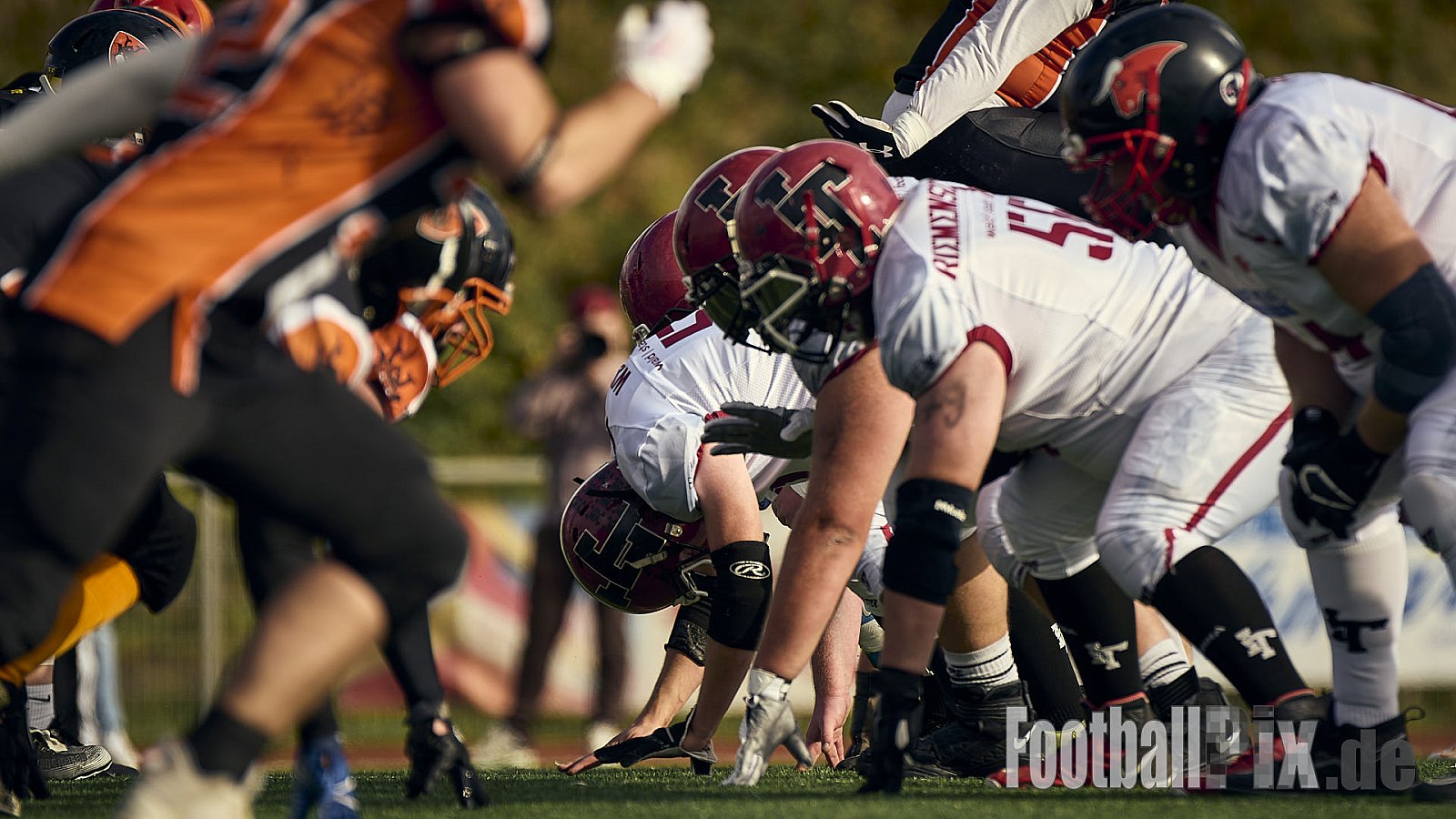 AFCV LL NRW | Cologne Ronin vs. Iserlohn Titans | 19.10.2024 | Bezirkssportanlage Rodenkirchen, Sürther Straße, Michaelshoven, Rodenkirchen, Cologne, North Rhine-Westphalia, 50999, Germany | Punkte Endstand 29 : 42 | Bildnummer: 2024-10-19_0066 - CologneRoninVsIserlohnTitans