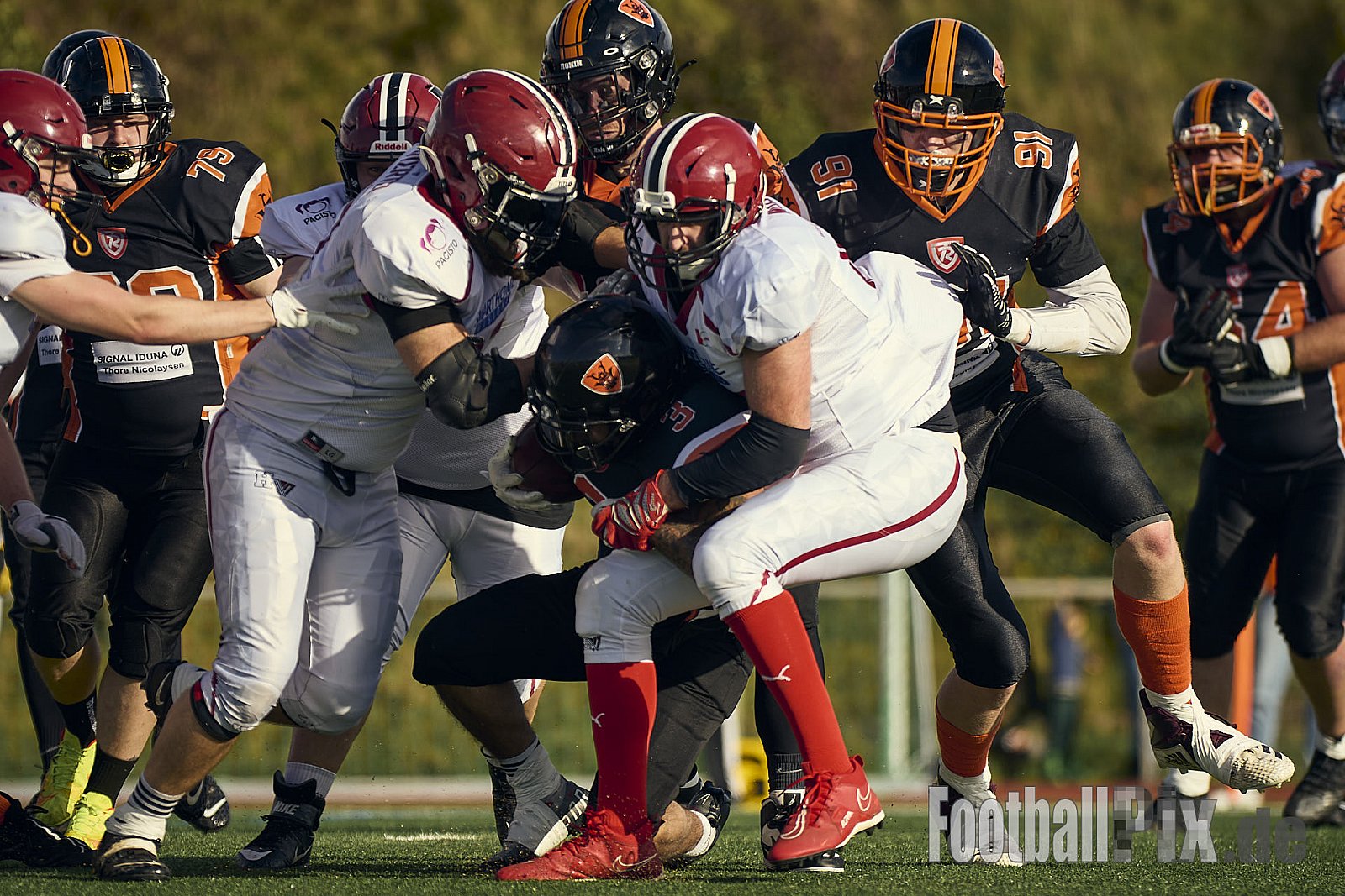 AFCV LL NRW | Cologne Ronin vs. Iserlohn Titans | 19.10.2024 | Bezirkssportanlage Rodenkirchen, Sürther Straße, Michaelshoven, Rodenkirchen, Cologne, North Rhine-Westphalia, 50999, Germany | Punkte Endstand 29 : 42 | Bildnummer: 2024-10-19_0221 - CologneRoninVsIserlohnTitans