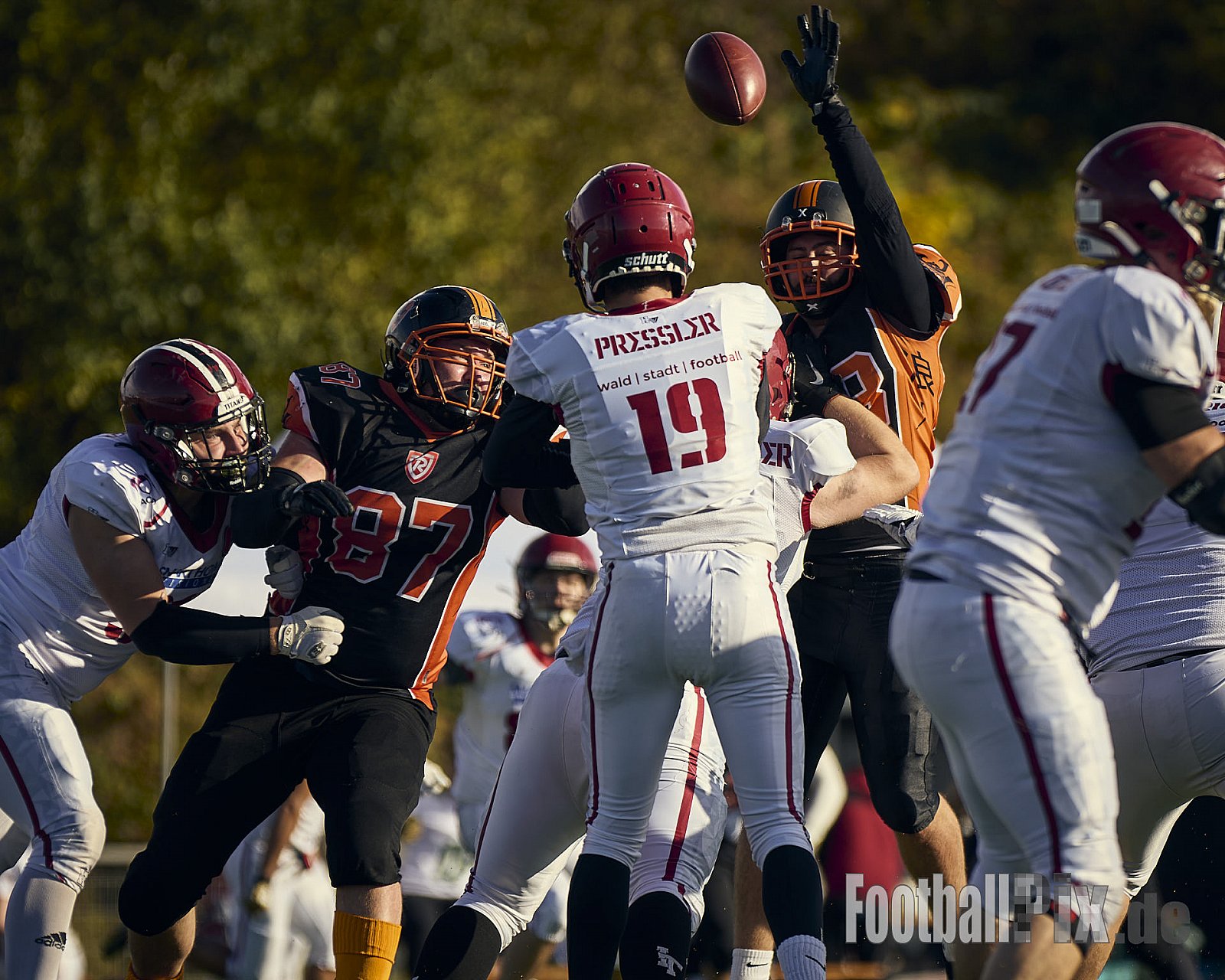 AFCV LL NRW | Cologne Ronin vs. Iserlohn Titans | 19.10.2024 | Bezirkssportanlage Rodenkirchen, Sürther Straße, Michaelshoven, Rodenkirchen, Cologne, North Rhine-Westphalia, 50999, Germany | Punkte Endstand 29 : 42 | Bildnummer: 2024-10-19_0252 - CologneRoninVsIserlohnTitans