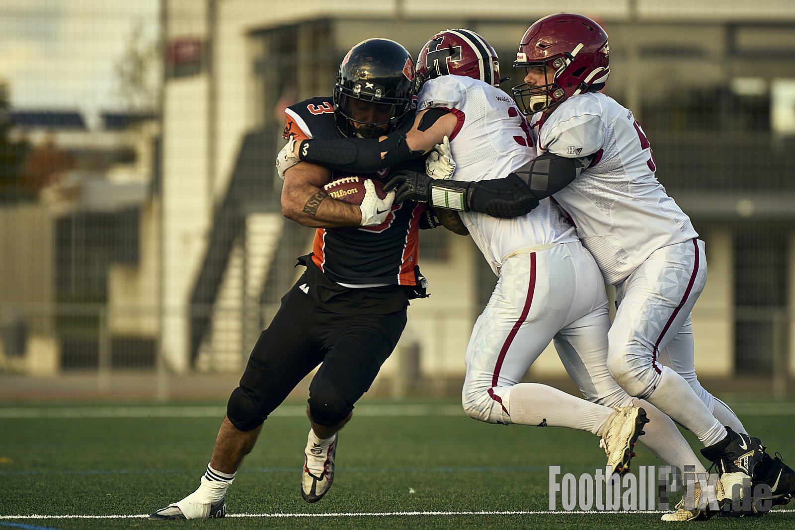 AFCV LL NRW | Cologne Ronin vs. Iserlohn Titans | 19.10.2024 | Bezirkssportanlage Rodenkirchen, Sürther Straße, Michaelshoven, Rodenkirchen, Cologne, North Rhine-Westphalia, 50999, Germany | Punkte Endstand 29 : 42 | Bildnummer: 2024-10-19_0493 - CologneRoninVsIserlohnTitans
