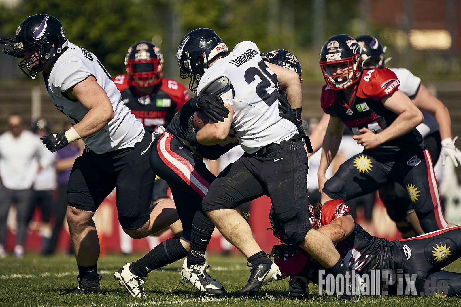 GFL | Merkur Bowl Düsseldorf Panther vs. Langenfeld Longhorns | 26.04.2025 |  | Punkte Endstand 34 : 06 | Bildnummer: 2025-04-26_0129 - MerkurBowlDPantherVsLagenfeldLonghorns