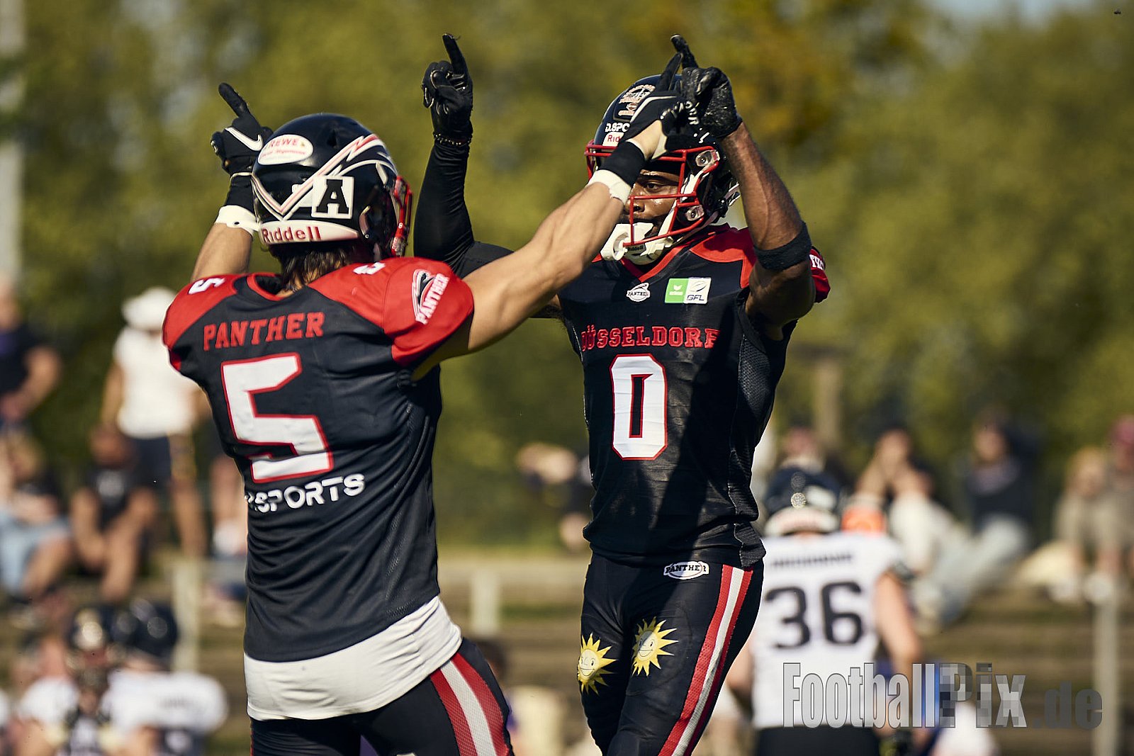 GFL | Merkur Bowl Düsseldorf Panther vs. Langenfeld Longhorns | 26.04.2025 |  | Punkte Endstand 34 : 06 | Bildnummer: 2025-04-26_0374 - MerkurBowlDPantherVsLagenfeldLonghorns