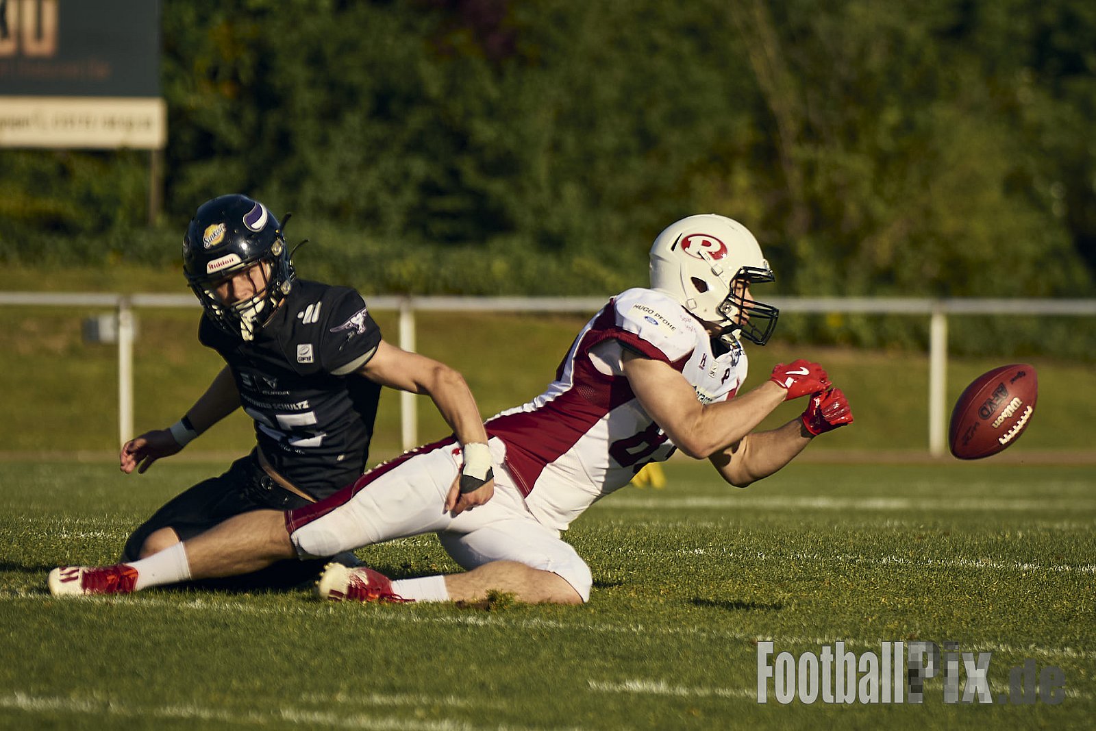 GFL 2 | Langenfeld Longhorns vs. Hamburg Pioneers | 10.05.2025 | Jahnstadion, Langenfeld | Punkte Endstand 35 : 10 | Bildnummer: 2025-05-10_0701 - LangenfeldLonghornsVsHamburgPioneers