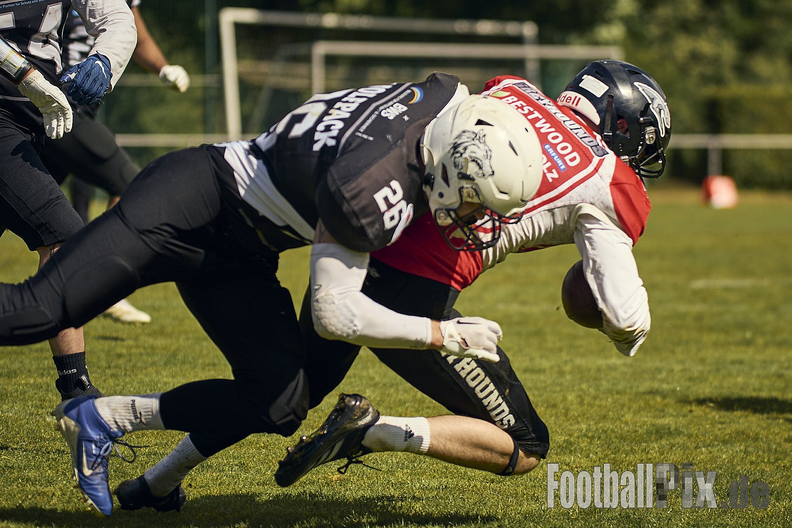AFCV OL NRW | Wuppertal Greyhoundsr vs. Mönchengladbach Wolfpack | 25.05.2025 | SpA Gelber Sprung, Wuppertal | Punkte Endstand 21 : 08 | Bildnummer: 2025-05-25_0322 - WuppertalGreyhoundsVsMgWolfpack