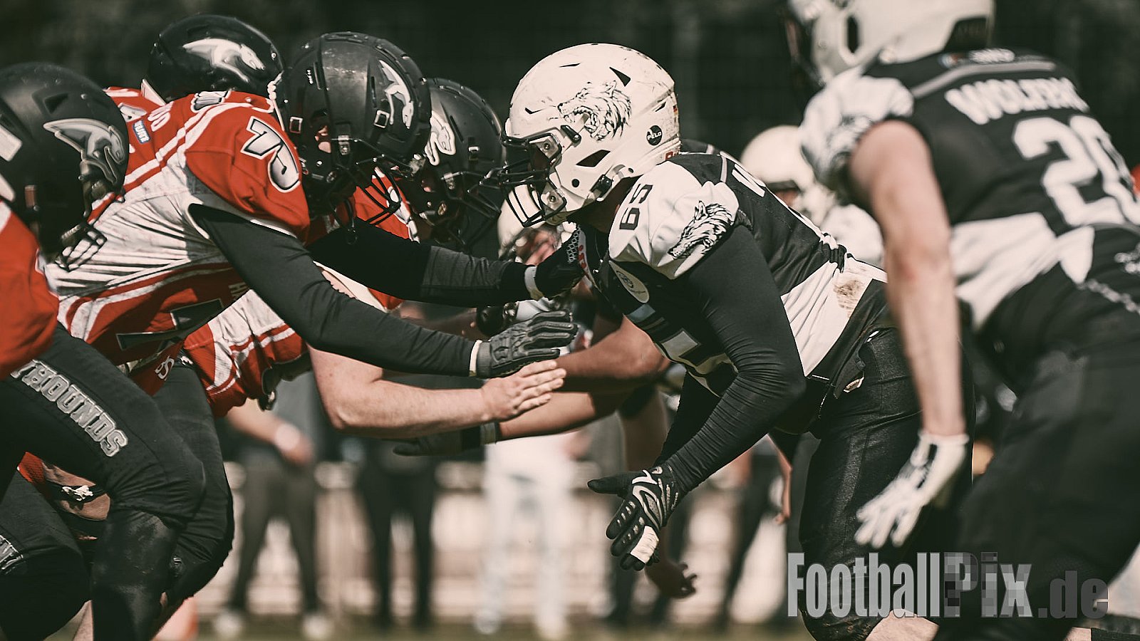 AFCV OL NRW | Wuppertal Greyhoundsr vs. Mönchengladbach Wolfpack | 25.05.2025 | SpA Gelber Sprung, Wuppertal | Punkte Endstand 21 : 08 | Bildnummer: 2025-05-25_0332 - WuppertalGreyhoundsVsMgWolfpack