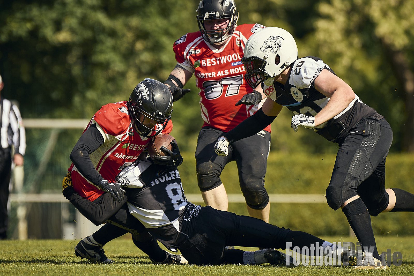 AFCV OL NRW | Wuppertal Greyhoundsr vs. Mönchengladbach Wolfpack | 25.05.2025 | SpA Gelber Sprung, Wuppertal | Punkte Endstand 21 : 08 | Bildnummer: 2025-05-25_0467 - WuppertalGreyhoundsVsMgWolfpack