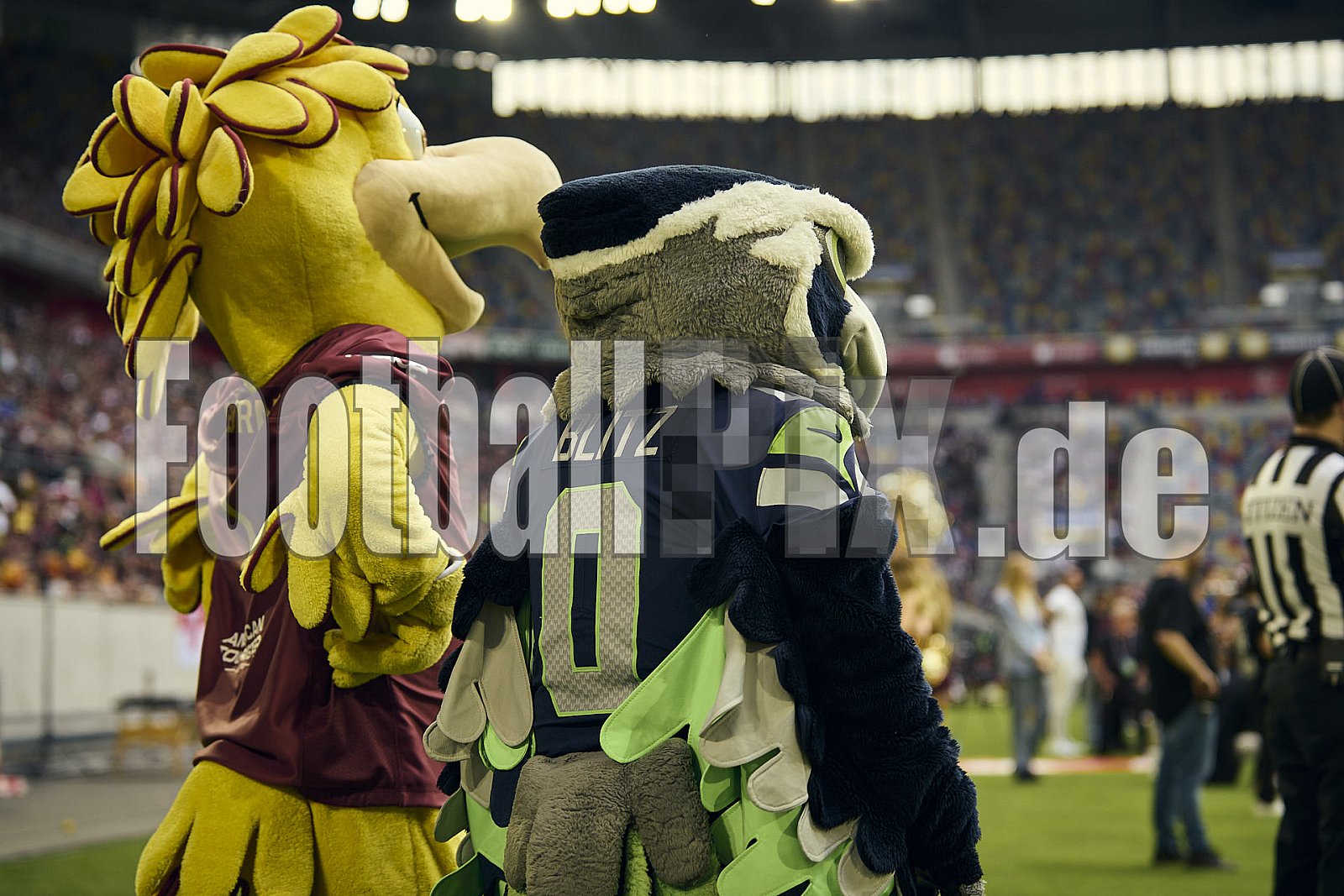 ELF | Vienna Vikings at Rhein Fire |  Punkte Endstand 21 : 08 | Merkur Spiel-Arena, Dusseldorf | 01.06.2025 | Bildnummer: 2025-06-01_0979 - ViennaVikingsAtRheinFire