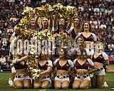 ELF | Hamburg Sea Devils at Rhein Fire |  Punkte Endstand 0 : 43 | Schauinsland-Reisen-Arena, Duisburg | 14.06.2025 - HamburgSeaDevilsAtRheinFire