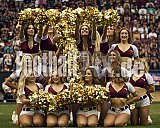 ELF | Hamburg Sea Devils at Rhein Fire |  Punkte Endstand 0 : 43 | Schauinsland-Reisen-Arena, Duisburg | 14.06.2025 - HamburgSeaDevilsAtRheinFire