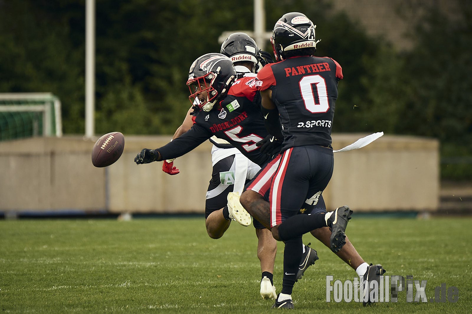 #5 Juan Luis Lua, Defense, Düsseldorf Panther | #0 Cory Beauchea McCoy Jr., Defense, Düsseldorf Panther | GFL | Düsseldorf Panther vs. Berlin Rebels |  Punkte Endstand 14 : 21 | Stadion Benrath, Dusseldorf | 15.06.2025
Job ID: 2025-06-15_0091 - DPantherVsBerlinRebels