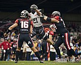 GFL | Düsseldorf Panther vs. Berlin Rebels |  Punkte Endstand 14 : 21 | Stadion Benrath, Dusseldorf | 15.06.2025
Job ID: 2025-06-15_0221 - DPantherVsBerlinRebels