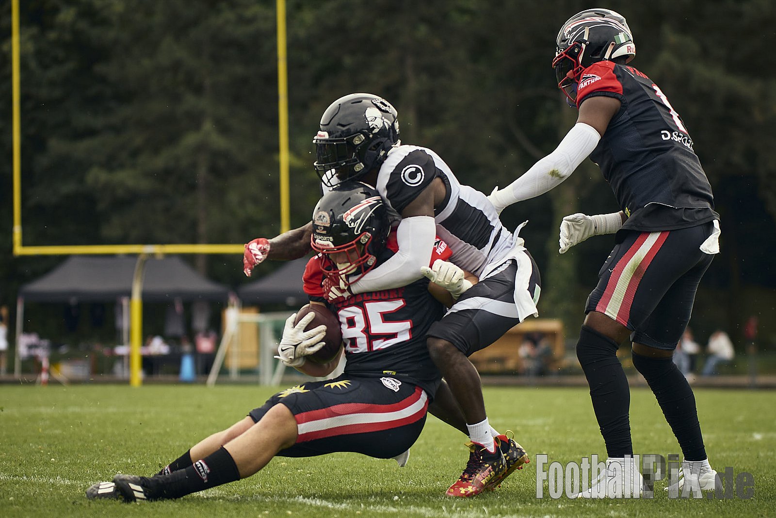GFL | Düsseldorf Panther vs. Berlin Rebels |  Punkte Endstand 14 : 21 | Stadion Benrath, Dusseldorf | 15.06.2025
Job ID: 2025-06-15_0252 - DPantherVsBerlinRebels