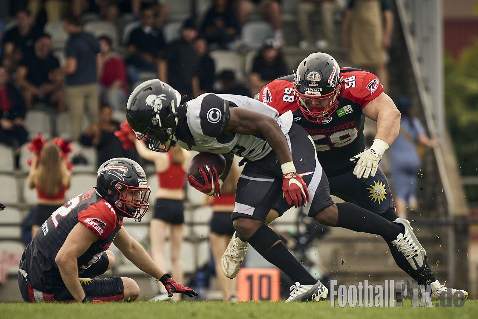 GFL | Düsseldorf Panther vs. Berlin Rebels |  Punkte Endstand 14 : 21 | Stadion Benrath, Dusseldorf | 15.06.2025
Job ID: 2025-06-15_0282 - DPantherVsBerlinRebels