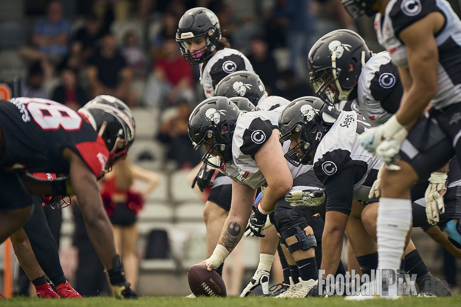 GFL | Düsseldorf Panther vs. Berlin Rebels |  Punkte Endstand 14 : 21 | Stadion Benrath, Dusseldorf | 15.06.2025
Job ID: 2025-06-15_0302 - DPantherVsBerlinRebels