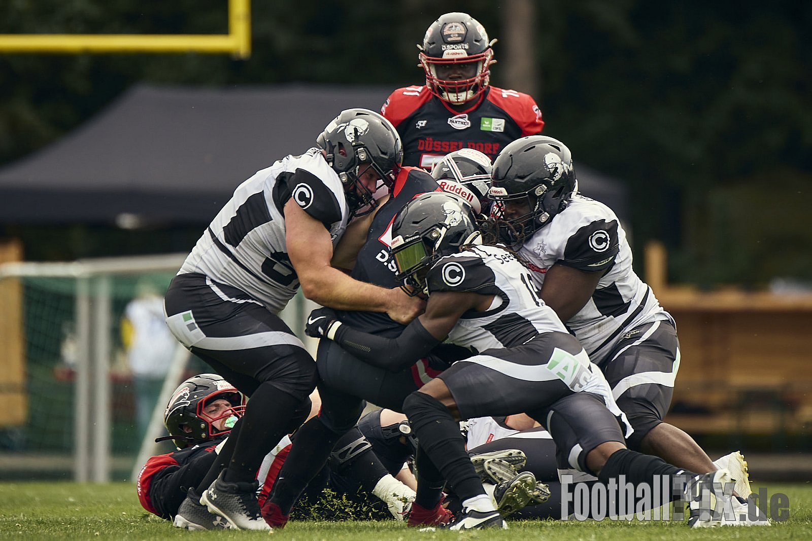 GFL | Düsseldorf Panther vs. Berlin Rebels |  Punkte Endstand 14 : 21 | Stadion Benrath, Dusseldorf | 15.06.2025
Job ID: 2025-06-15_0338 - DPantherVsBerlinRebels