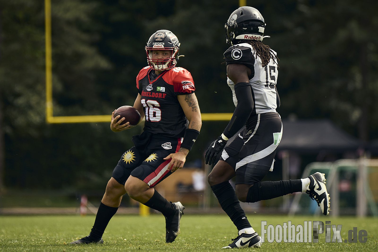 GFL | Düsseldorf Panther vs. Berlin Rebels |  Punkte Endstand 14 : 21 | Stadion Benrath, Dusseldorf | 15.06.2025
Job ID: 2025-06-15_0393 - DPantherVsBerlinRebels