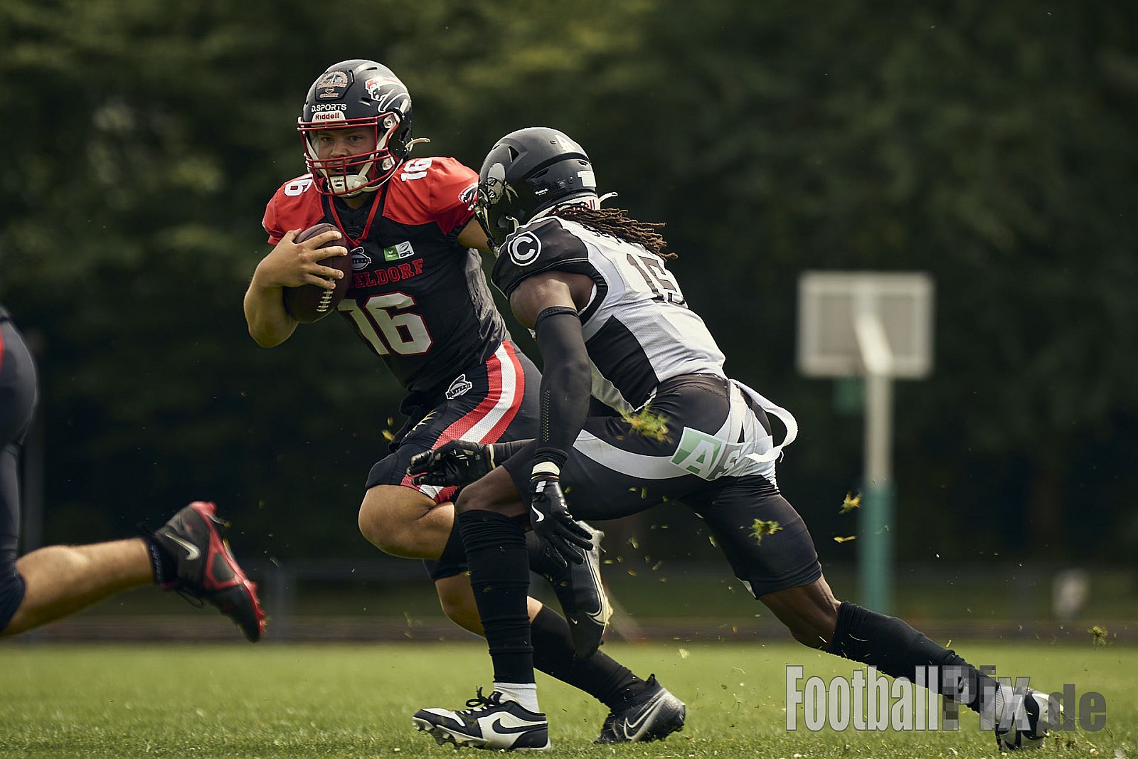 #16 Cole James Stenstrom, Offense, Düsseldorf Panther | GFL | Düsseldorf Panther vs. Berlin Rebels |  Punkte Endstand 14 : 21 | Stadion Benrath, Dusseldorf | 15.06.2025
Job ID: 2025-06-15_0397 - DPantherVsBerlinRebels