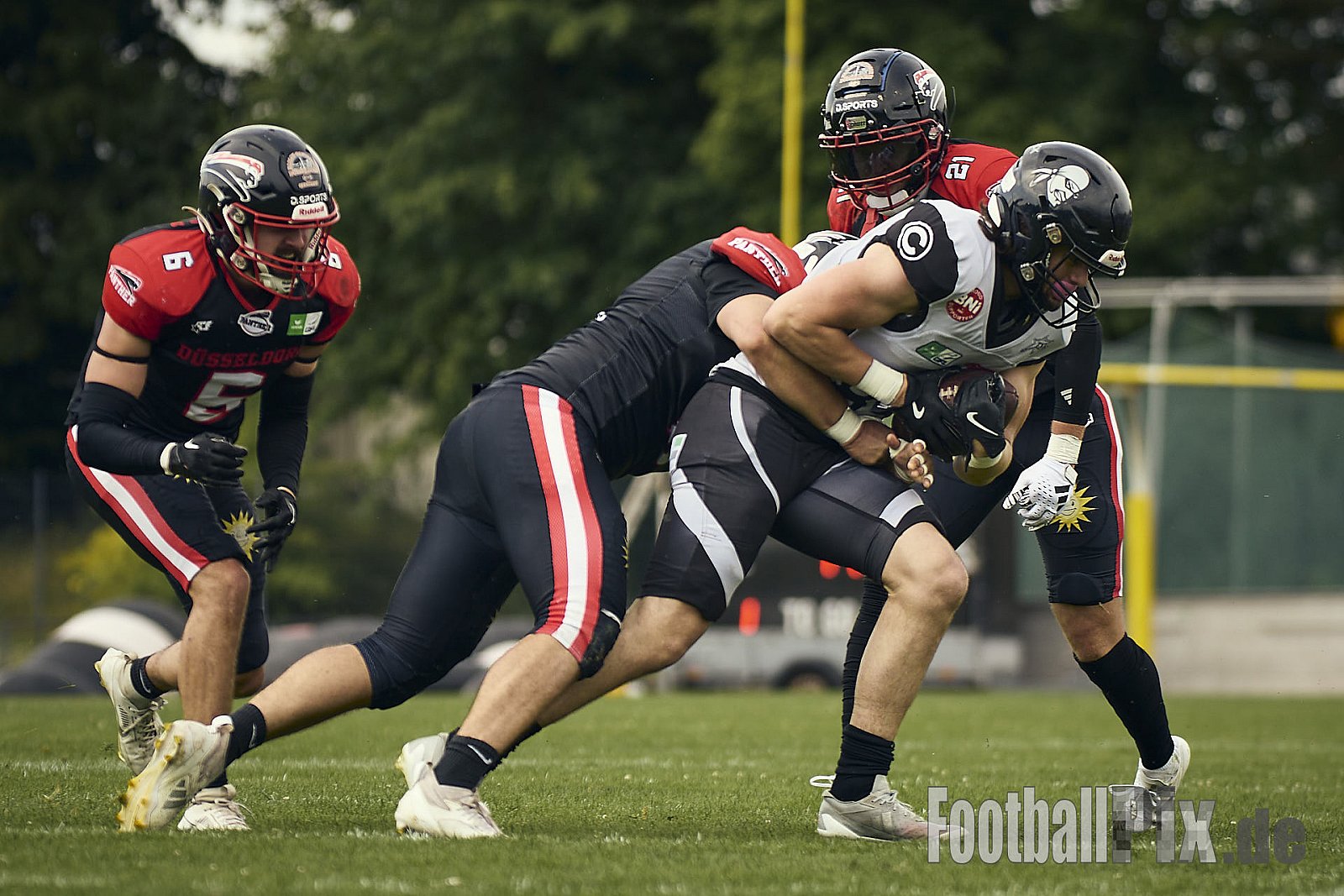 GFL | Düsseldorf Panther vs. Berlin Rebels |  Punkte Endstand 14 : 21 | Stadion Benrath, Dusseldorf | 15.06.2025
Job ID: 2025-06-15_0472 - DPantherVsBerlinRebels