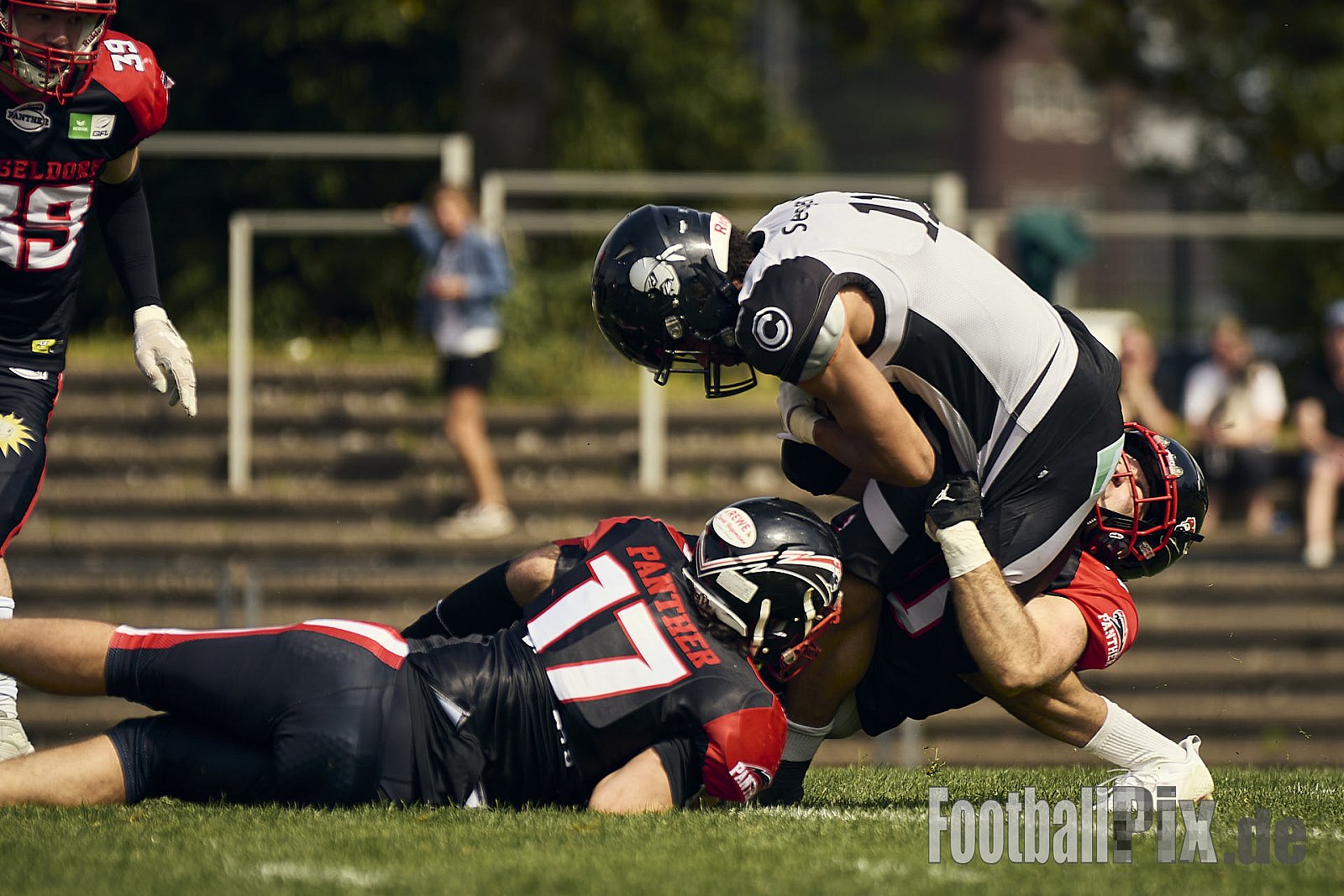 GFL | Düsseldorf Panther vs. Berlin Rebels |  Punkte Endstand 14 : 21 | Stadion Benrath, Dusseldorf | 15.06.2025
Job ID: 2025-06-15_0574 - DPantherVsBerlinRebels