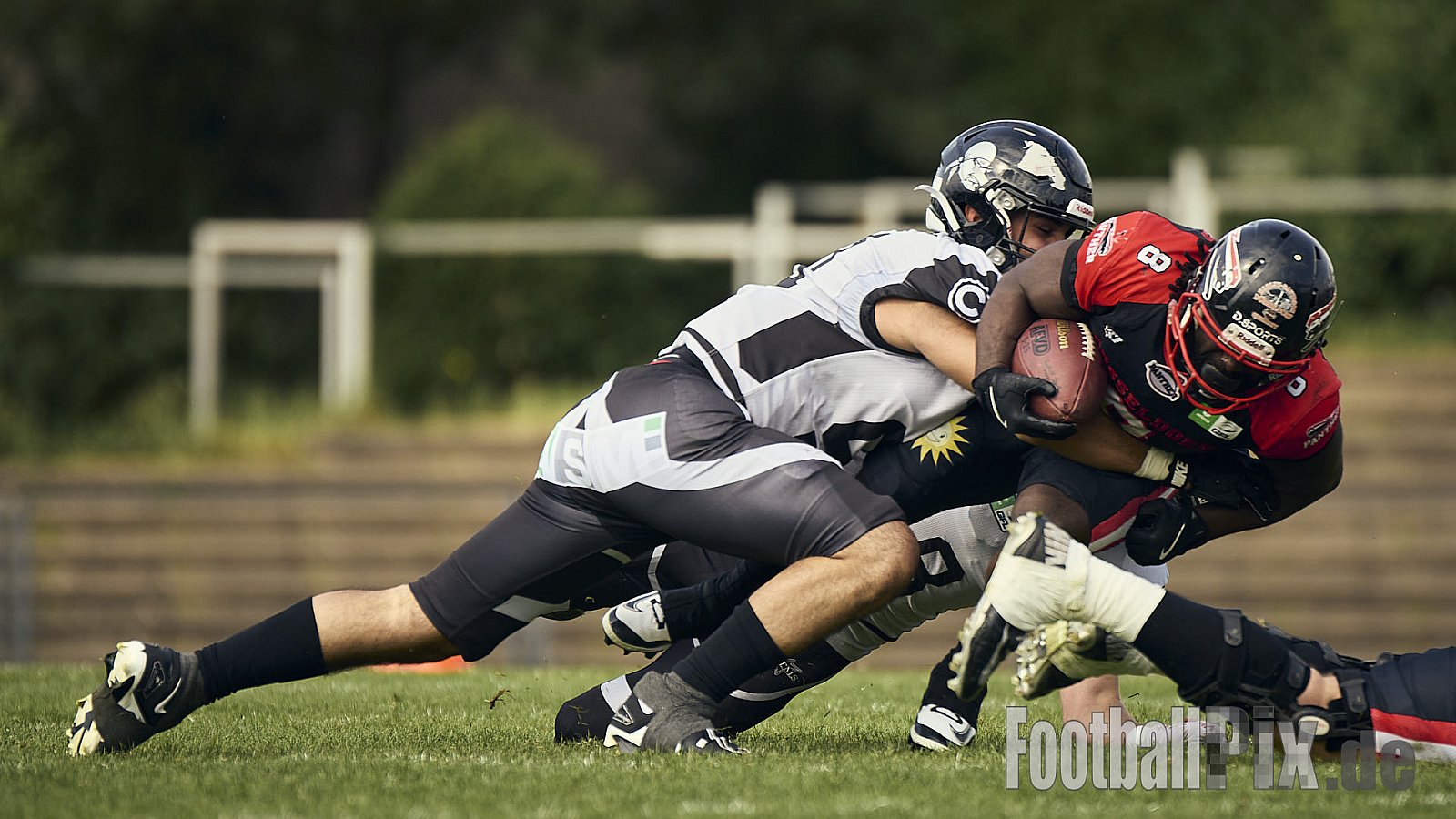 #8 Dean Tanwani, Offense, Düsseldorf Panther | GFL | Düsseldorf Panther vs. Berlin Rebels |  Punkte Endstand 14 : 21 | Stadion Benrath, Dusseldorf | 15.06.2025
Job ID: 2025-06-15_0683 - DPantherVsBerlinRebels