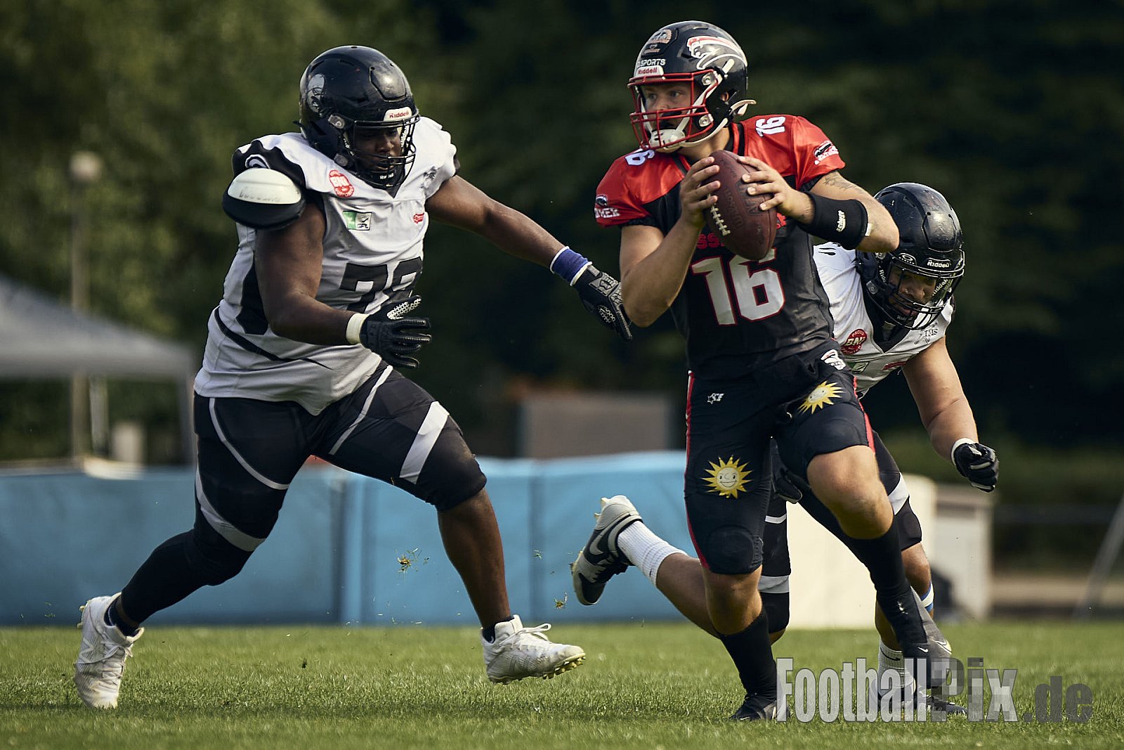 #16 Cole James Stenstrom, Offense, Düsseldorf Panther | GFL | Düsseldorf Panther vs. Berlin Rebels |  Punkte Endstand 14 : 21 | Stadion Benrath, Dusseldorf | 15.06.2025
Job ID: 2025-06-15_0705 - DPantherVsBerlinRebels