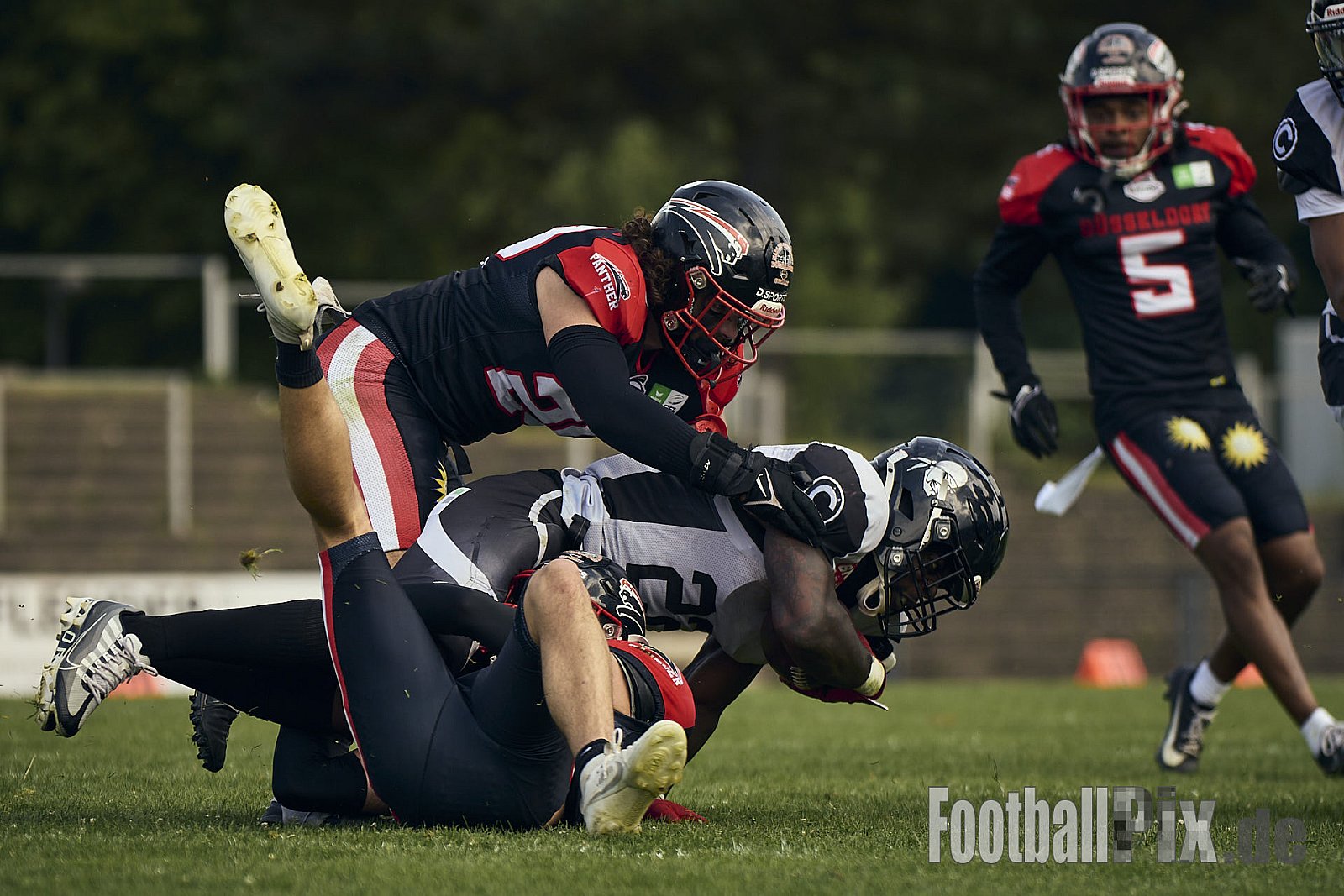 GFL | Düsseldorf Panther vs. Berlin Rebels |  Punkte Endstand 14 : 21 | Stadion Benrath, Dusseldorf | 15.06.2025
Job ID: 2025-06-15_0739 - DPantherVsBerlinRebels