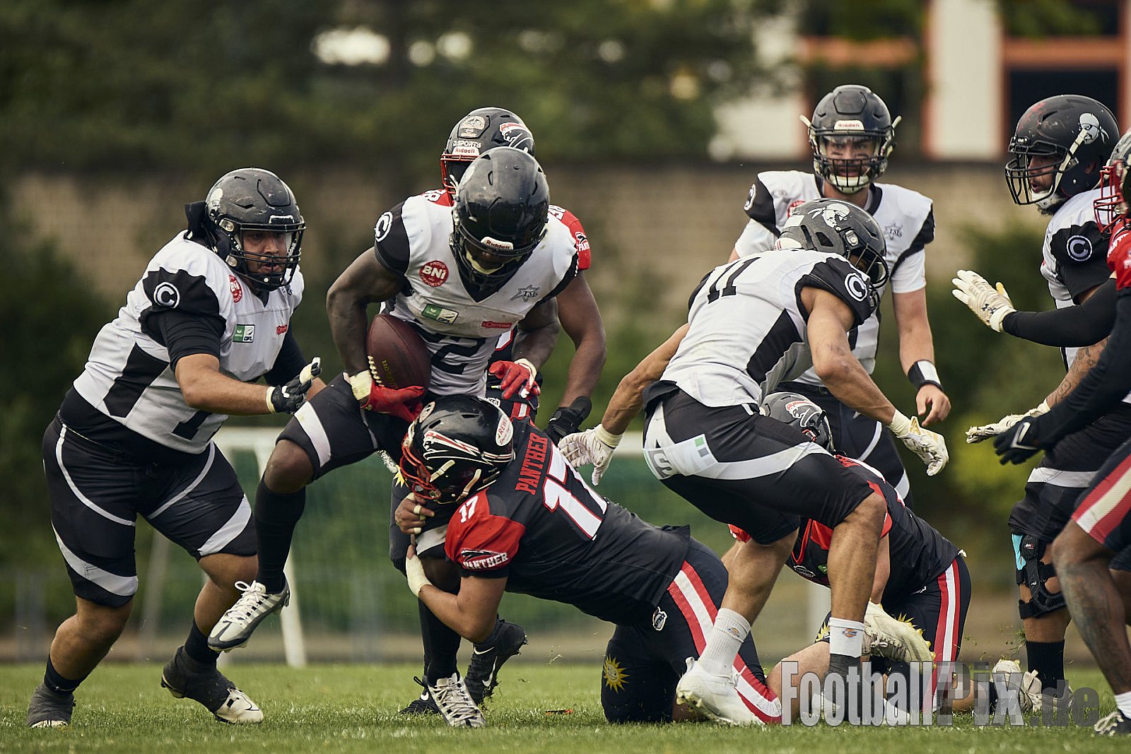 #17 Ennes Oberheitmann, Defense, Düsseldorf Panther | GFL | Düsseldorf Panther vs. Berlin Rebels |  Punkte Endstand 14 : 21 | Stadion Benrath, Dusseldorf | 15.06.2025
Job ID: 2025-06-15_0900 - DPantherVsBerlinRebels