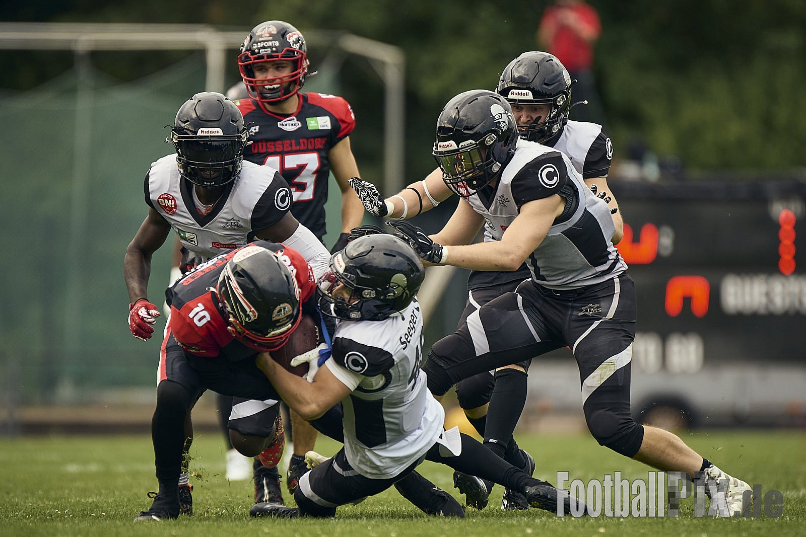 GFL | Düsseldorf Panther vs. Berlin Rebels |  Punkte Endstand 14 : 21 | Stadion Benrath, Dusseldorf | 15.06.2025
Job ID: 2025-06-15_0923 - DPantherVsBerlinRebels