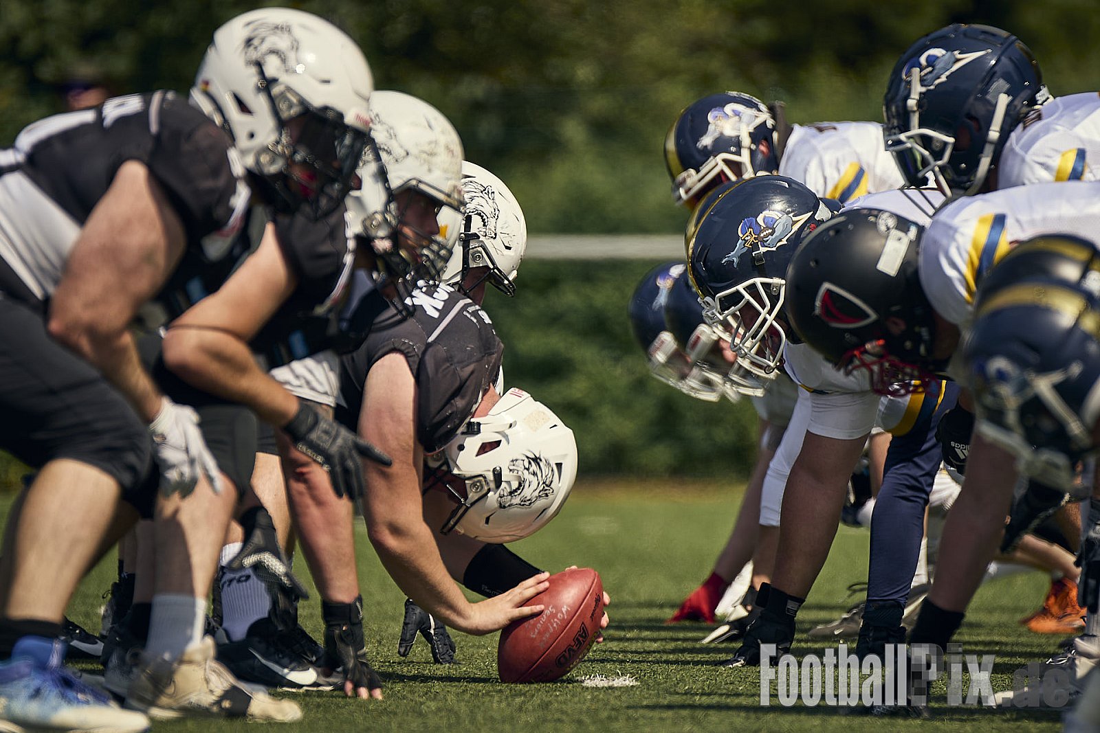 AFCV OL NRW | Dortmund Giants vs. Mönchengladbach Wolfpack |  Punkte Endstand 07 : 33 | Hoeschpark, Dortmund | 21.06.2025 | Job ID: 2025-06-21_0119 - DortmundGiantsVsMgWolfpack