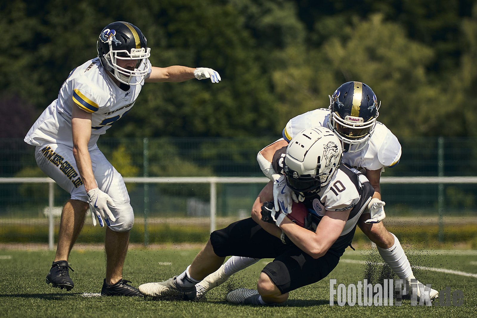 AFCV OL NRW | Dortmund Giants vs. Mönchengladbach Wolfpack |  Punkte Endstand 07 : 33 | Hoeschpark, Dortmund | 21.06.2025 | Job ID: 2025-06-21_0159 - DortmundGiantsVsMgWolfpack