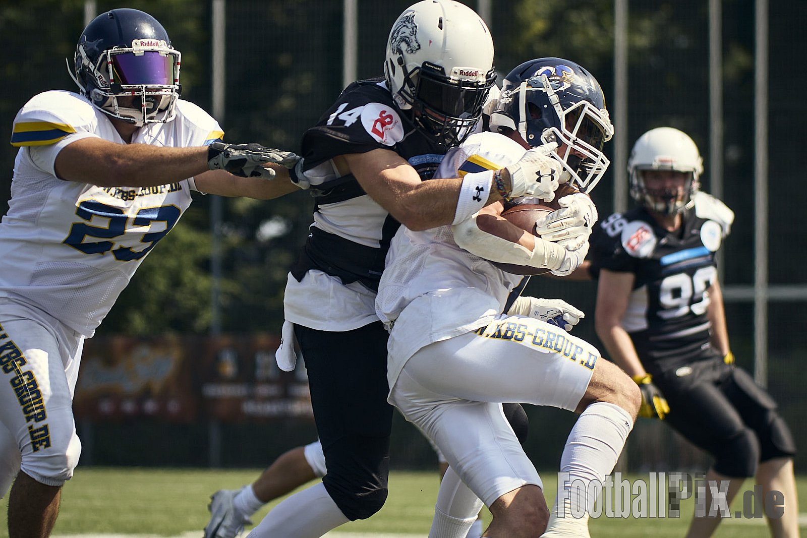 AFCV OL NRW | Dortmund Giants vs. Mönchengladbach Wolfpack |  Punkte Endstand 07 : 33 | Hoeschpark, Dortmund | 21.06.2025 | Job ID: 2025-06-21_0211 - DortmundGiantsVsMgWolfpack