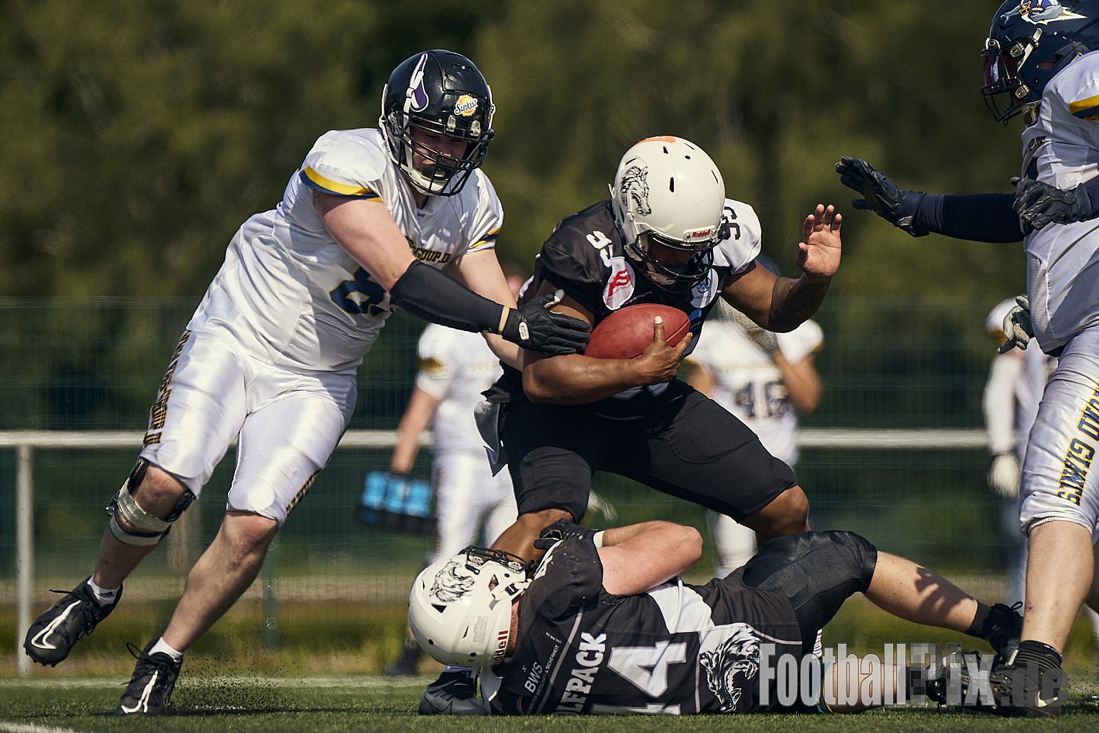 AFCV OL NRW | Dortmund Giants vs. Mönchengladbach Wolfpack |  Punkte Endstand 07 : 33 | Hoeschpark, Dortmund | 21.06.2025 | Job ID: 2025-06-21_0351 - DortmundGiantsVsMgWolfpack