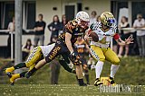 AFCV RLP | Mosel Valley Tigers vs. Saar Pfalz Celtics | Punkte Endstand 13:23 | Sportplatz Leienkaul, Leienkaul | 02.05.2026 | Job ID: 2026-05-02_0392 - MoselValleyTigersVsSaarPfalzCeltics