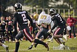 #5 Rocky Lombardi, Quarterback, Dresden Monarchs | GFL | D&uuml;sseldorf Panther vs. Dresden Monarchs | Punkte Endstand 20:45 | Stadion Benrath, Dusseldorf | 16.05.2026 | Job ID: 2026-05-16_0325 - DPantherVsDresdenMonarchs