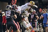 #8 Tofunmi Lala, Running Back, Dresden Monarchs | GFL | D&uuml;sseldorf Panther vs. Dresden Monarchs | Punkte Endstand 20:45 | Stadion Benrath, Dusseldorf | 16.05.2026 | Job ID: 2026-05-16_0364 - DPantherVsDresdenMonarchs