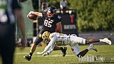#85 Daniel Luoma, Tight End, D&uuml;sseldorf Panther | GFL | D&uuml;sseldorf Panther vs. Dresden Monarchs | Punkte Endstand 20:45 | Stadion Benrath, Dusseldorf | 16.05.2026 | Job ID: 2026-05-16_0413 - DPantherVsDresdenMonarchs