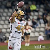 #42 Elian Canet, Defensive Lineman, Dresden Monarchs, Touchdown | GFL | D&uuml;sseldorf Panther vs. Dresden Monarchs | Punkte Endstand 20:45 | Stadion Benrath, Dusseldorf | 16.05.2026 | Job ID: 2026-05-16_0565 - DPantherVsDresdenMonarchs