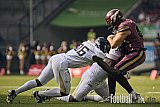 #85 Tim Sauerland, Tight End, Rhein Fire | AFLE | London Warriors @ Rhein Fire | Final Score 6:43 | Schauinsland-Reisen-Arena, Duisburg | 30.05.2026 | Job ID: 2026-05-30_0240 - LondonWarriorsAtRheinFire
